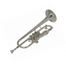 053/BX Custom versilbert